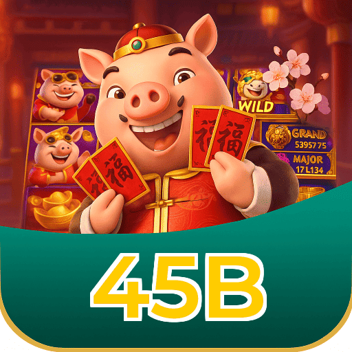 45B Logo